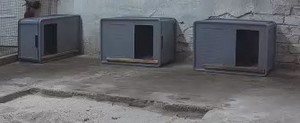 drei neue Nester, je 60x40x40 Eurobox mit Deckel